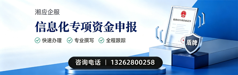 衢州信息化专项资金申报服务