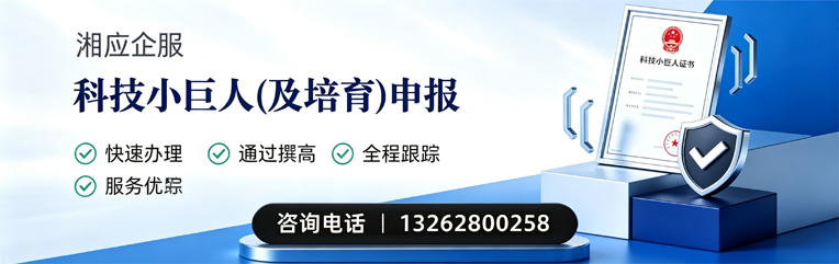 衢州科技小巨人及培育企业申报服务