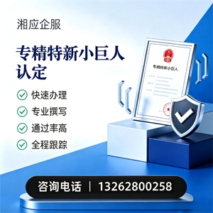 衢州专精特新小巨人申报服务