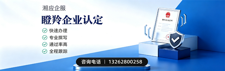 衢州瞪羚企业认定申报服务