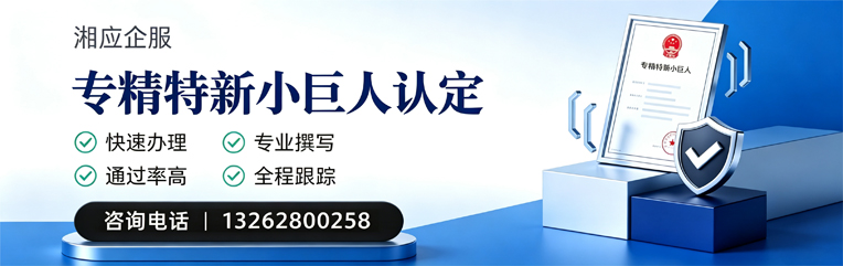 衢州专精特新小巨人申报服务